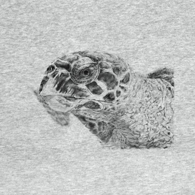 Carey Turtle portrait by Producer